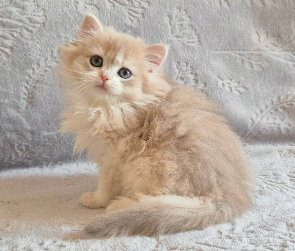 Photo 2026 01 28 15 22 41