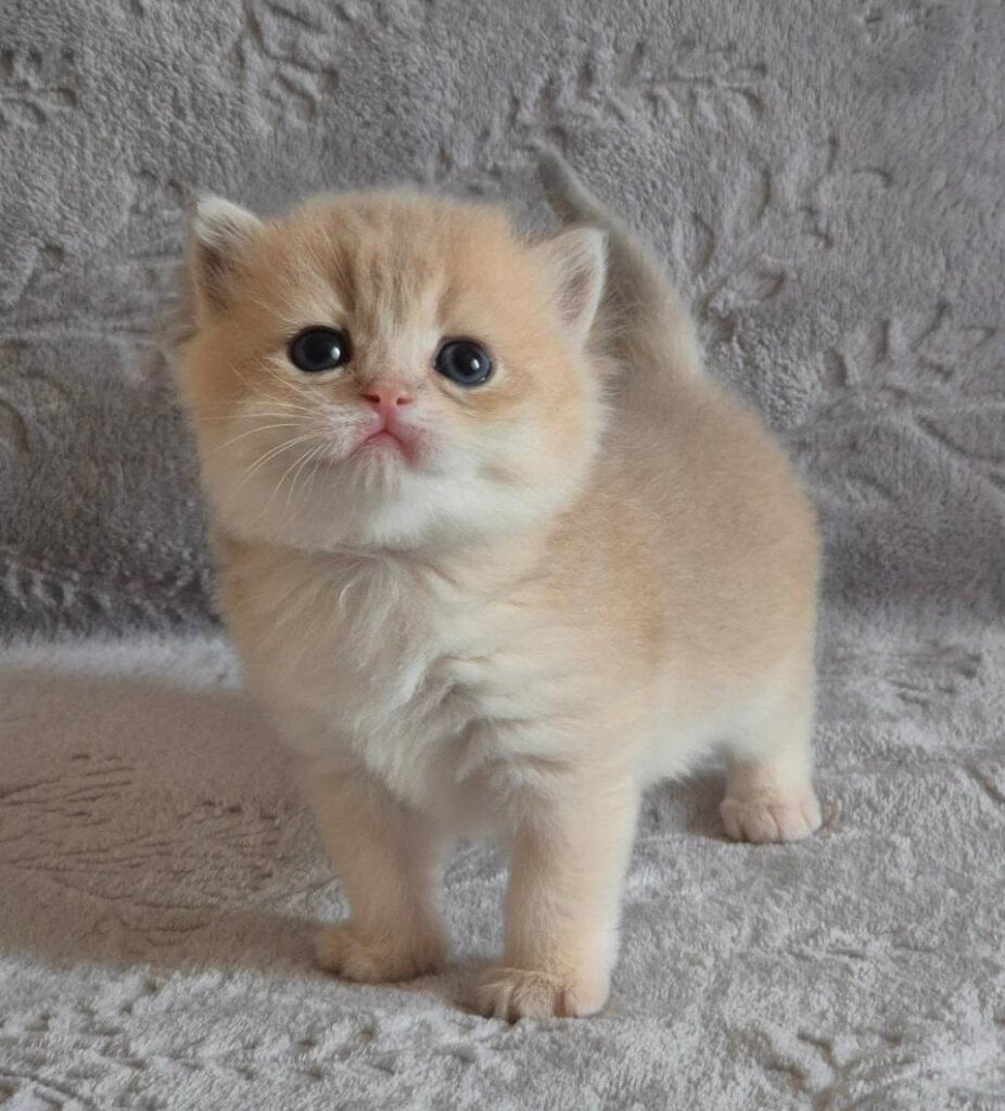 Photo 2026 01 28 15 32 09