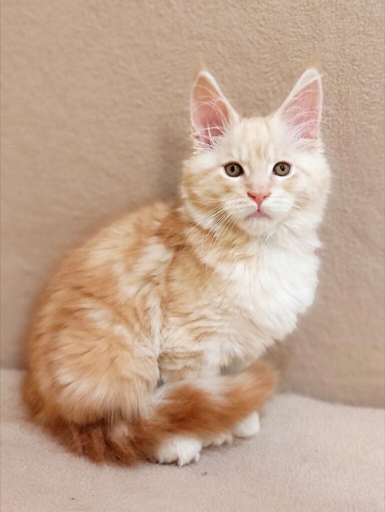 Photo 2026 01 28 16 45 04