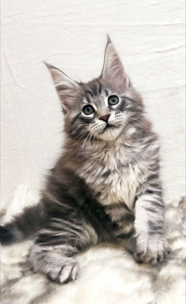 Photo 2026 01 28 19 16 13