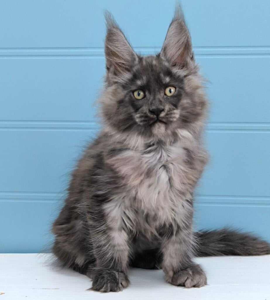 Photo 2026 01 29 12 56 11 2