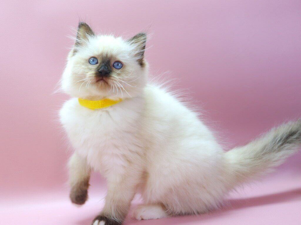 Photo 2026 01 29 13 45 23 3