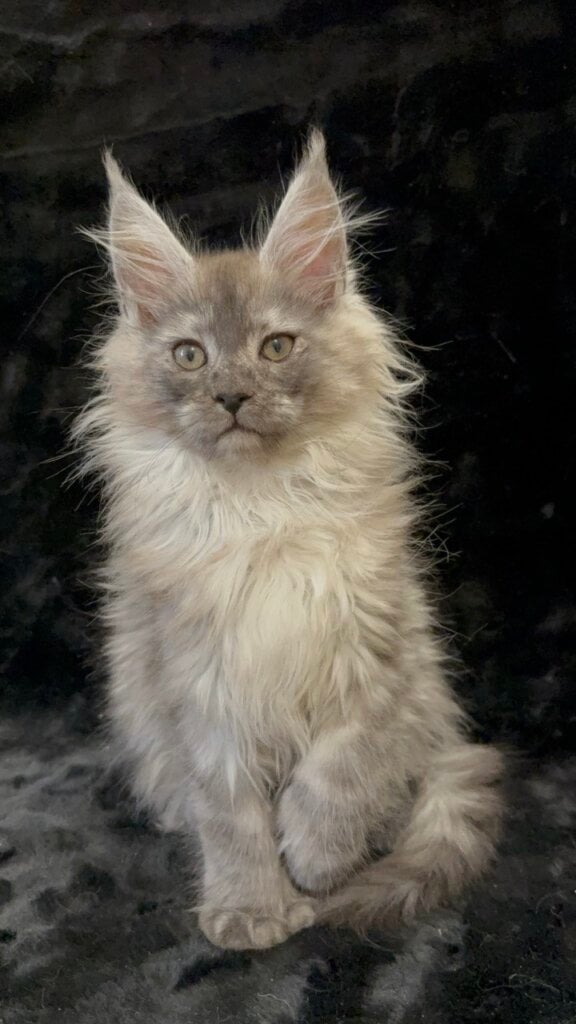 Photo 2026 01 29 15 04 42