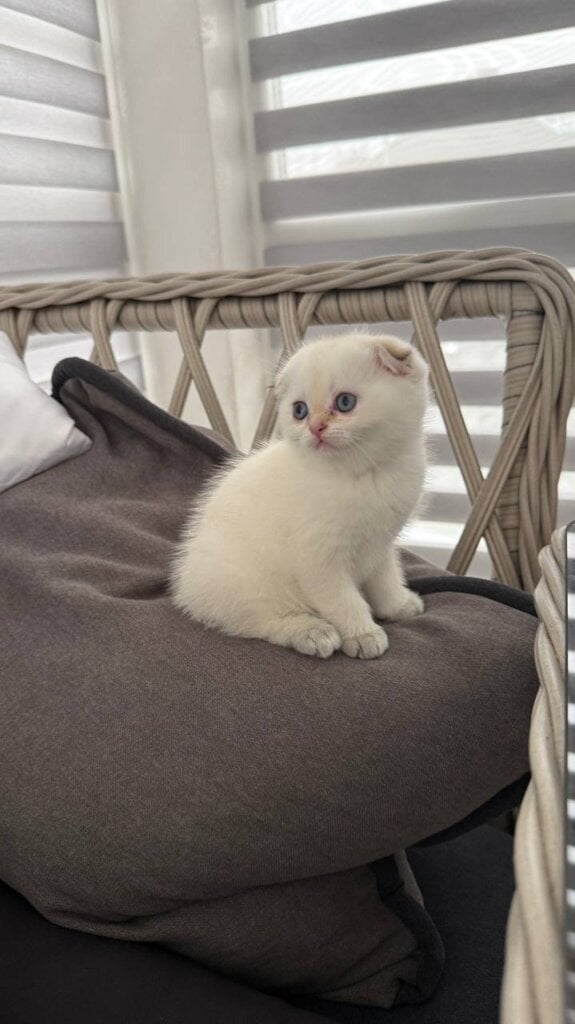 Photo 2026 01 30 08 42 58