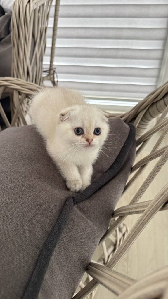 Photo 2026 01 30 08 46 32