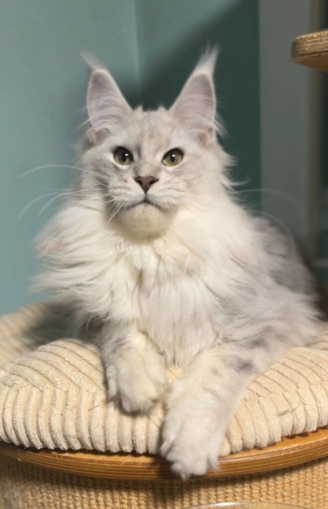 Photo 2026 01 30 12 06 59