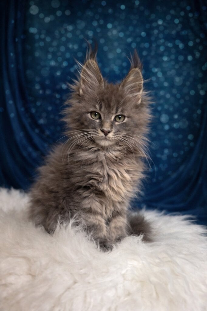 Photo 2026 01 30 13 38 51