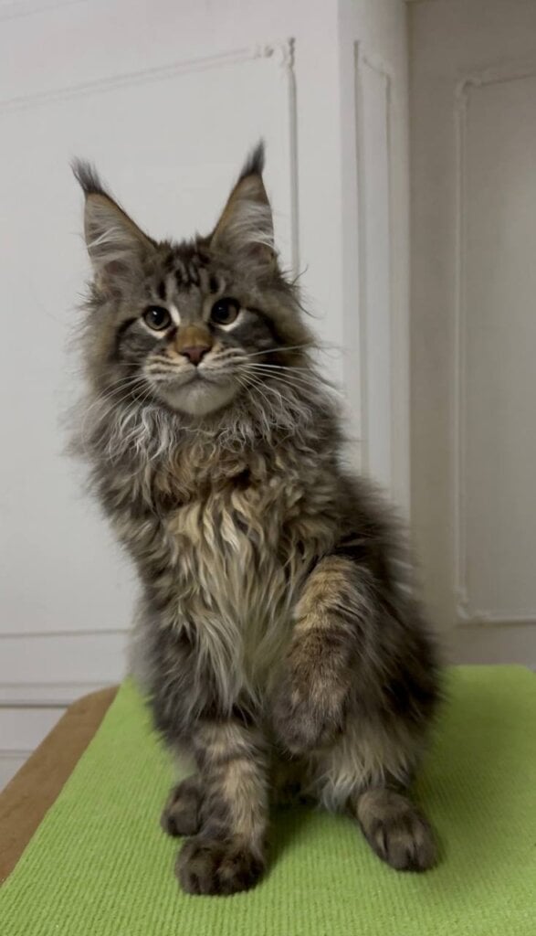 Photo 2026 01 30 15 04 27 2