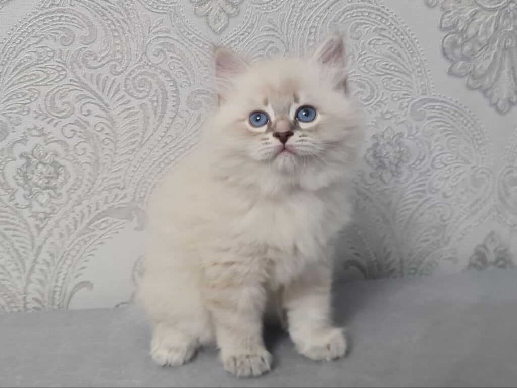 Photo 2026 01 30 15 22 40