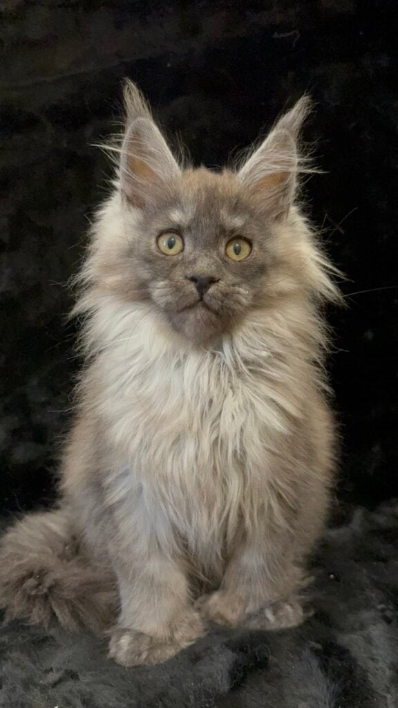 Photo 2026 01 30 17 51 17