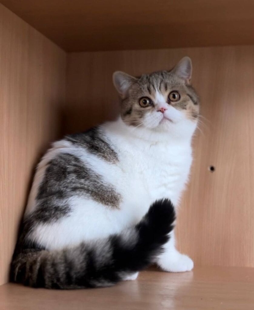 Photo 2026 01 30 20 06 30