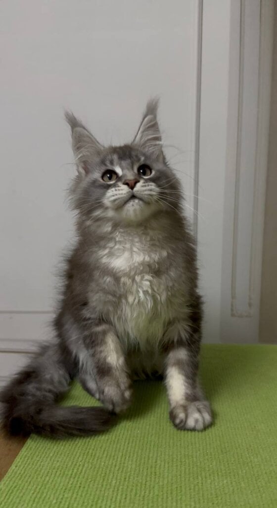 Photo 2026 01 30 23 29 44