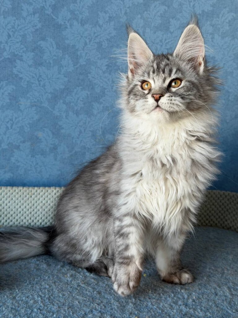 Photo 2026 02 10 21 06 34