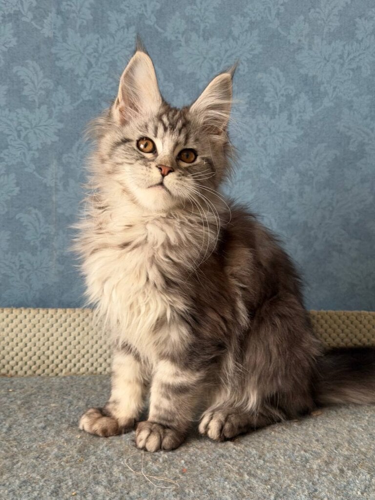 Photo 2026 02 12 18 08 24