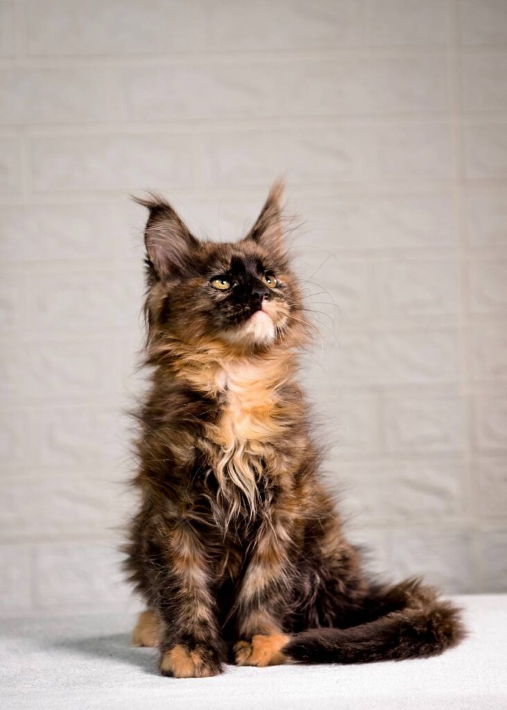 Photo 2026 02 13 12 20 34