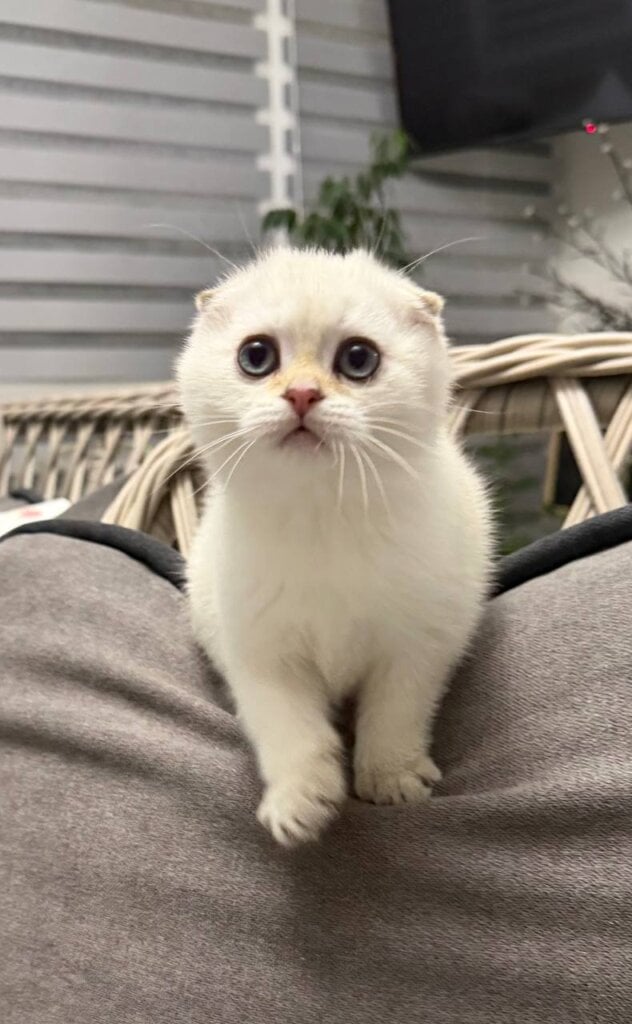 Photo 2026 02 17 10 35 31