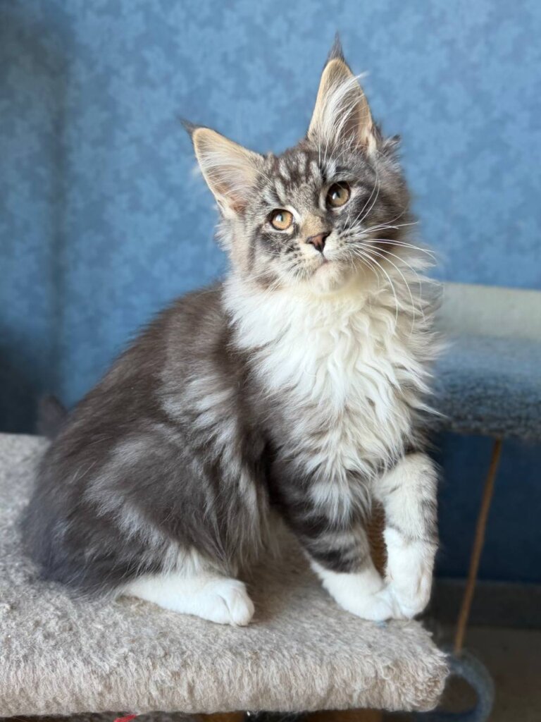 Photo 2026 02 21 17 10 38 2