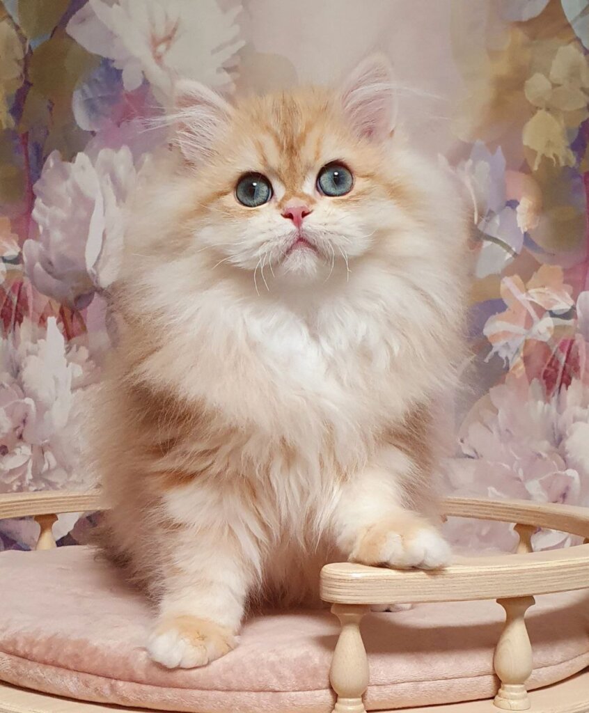 Photo 2026 02 21 18 06 12