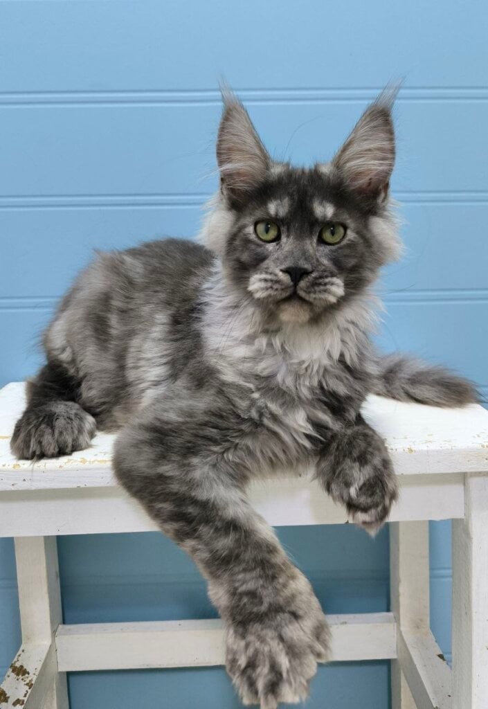 Photo 2026 03 22 19 11 14