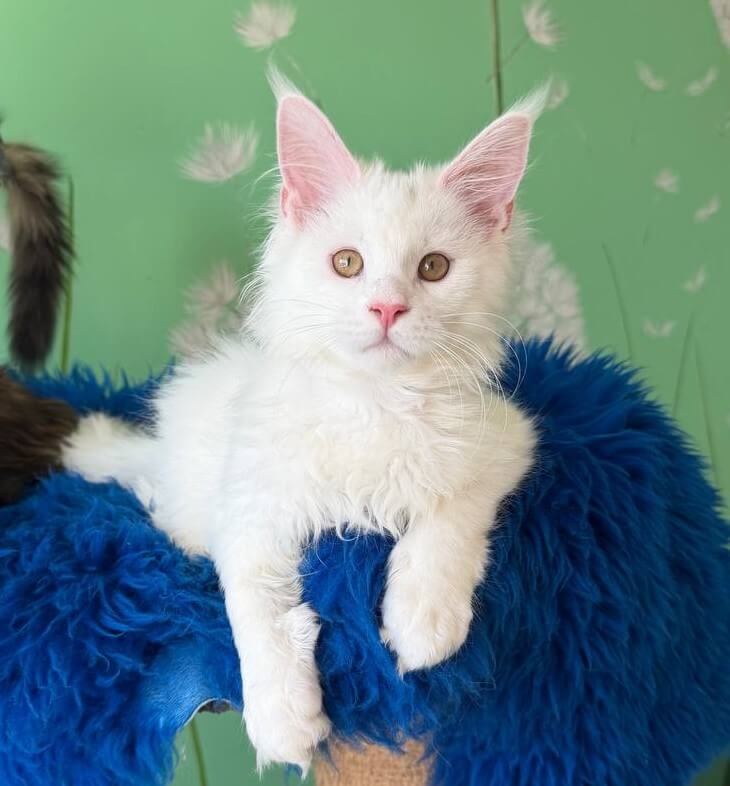 Photo 2026 03 27 11 58 28