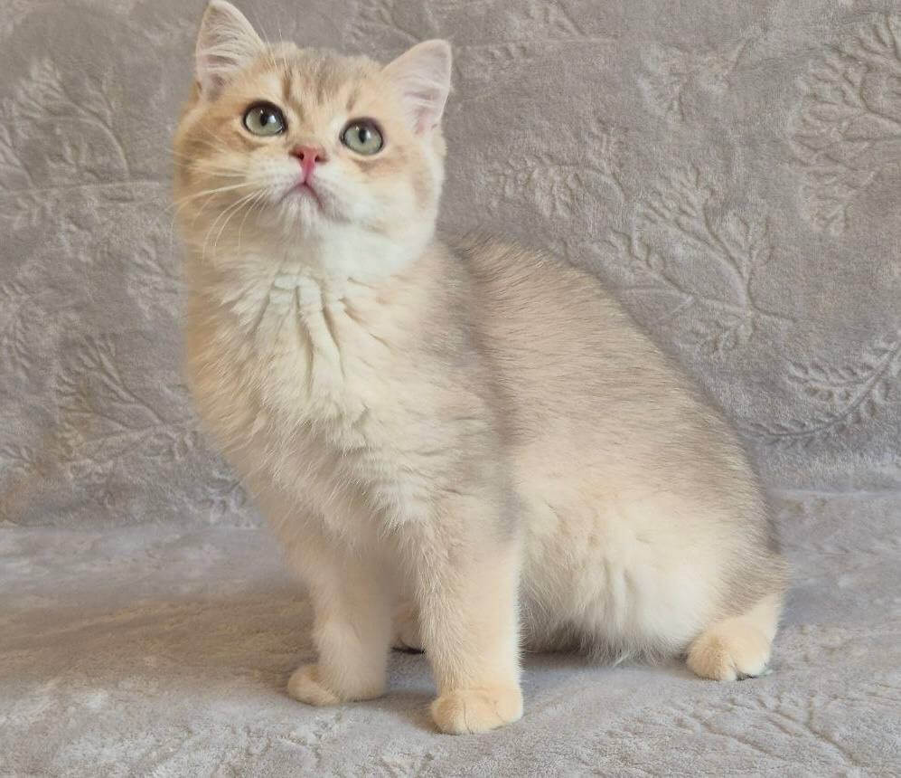 Photo 2026 04 18 17 30 27