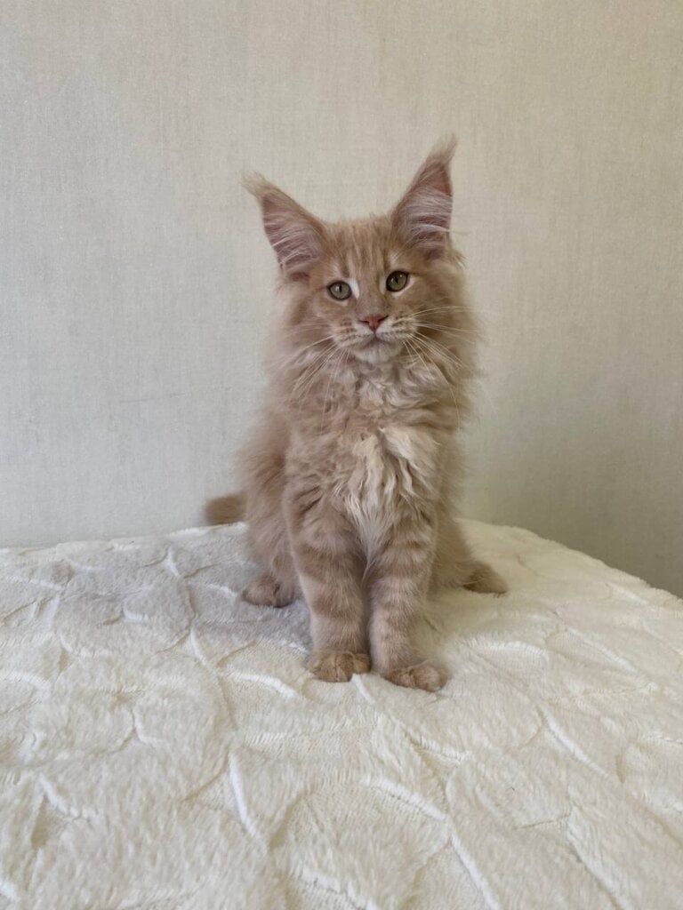 Img 20260201 160827 965