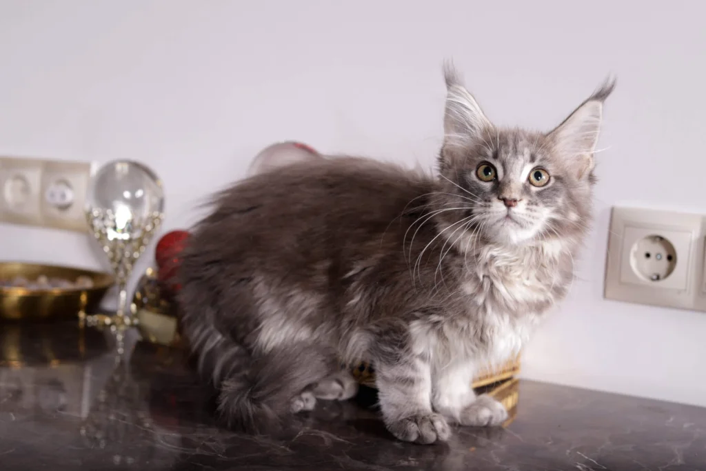 Img 9893 копия Scaled 1