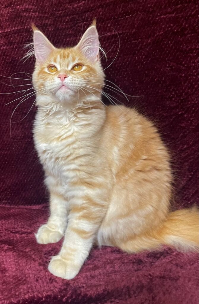 Photo 2026 01 31 19 43 56