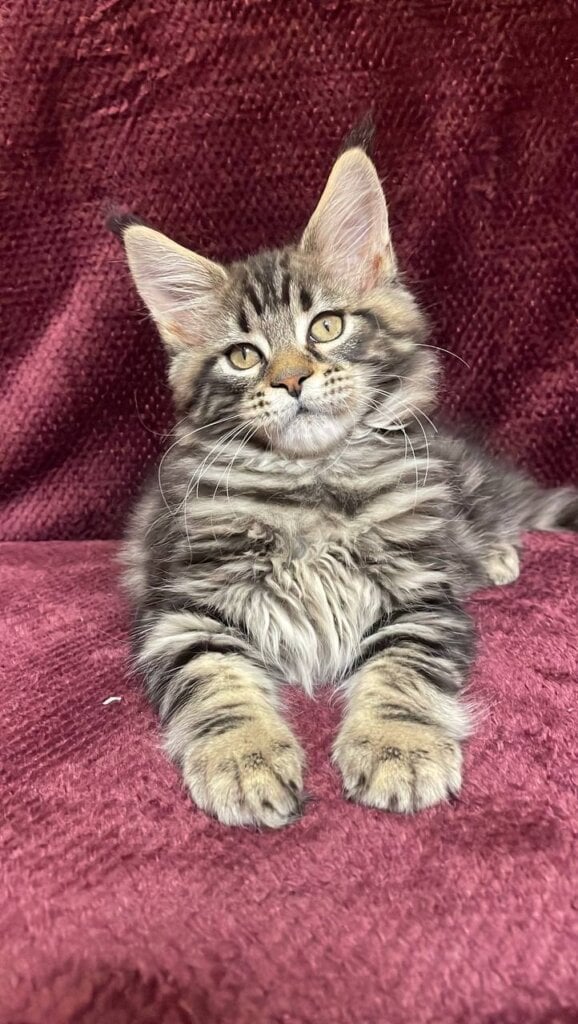 Photo 2026 01 31 19 49 37