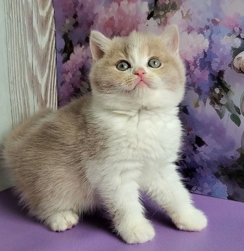 Photo 2026 01 31 20 30 59