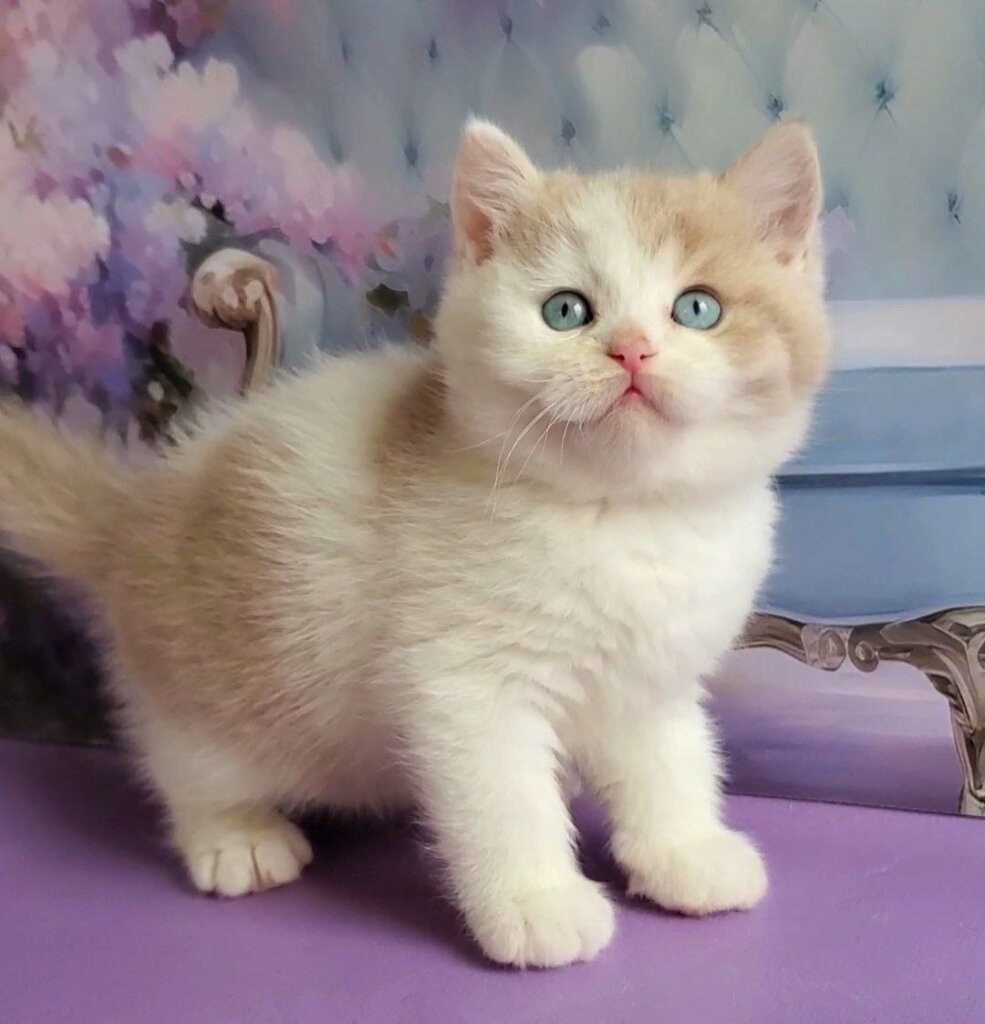 Photo 2026 01 31 20 32 14