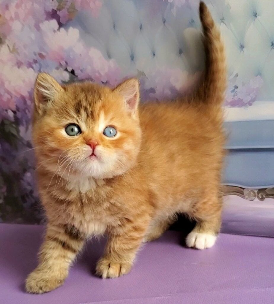 Photo 2026 01 31 20 33 10