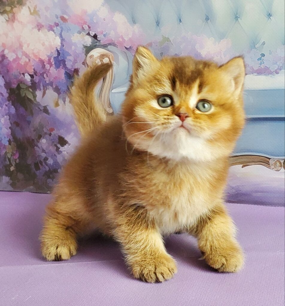 Photo 2026 01 31 20 33 58