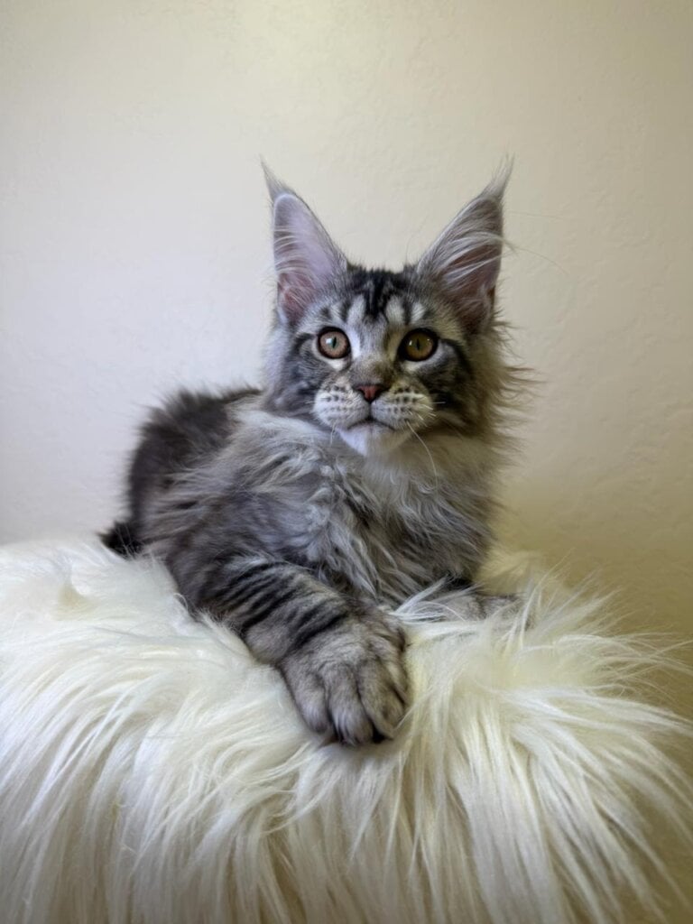 Photo 2026 01 31 23 22 29 2