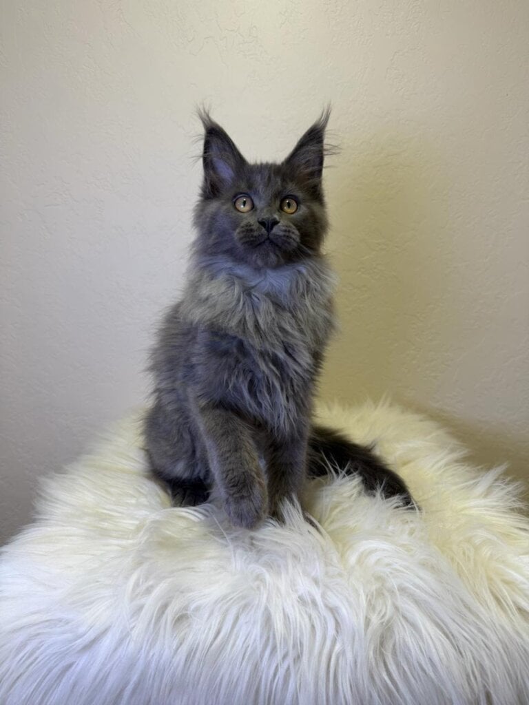 Photo 2026 01 31 23 37 46 2