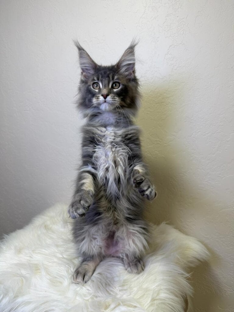 Photo 2026 01 31 23 50 31 4