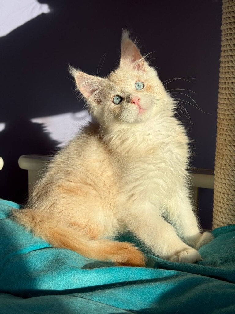 Photo 2026 02 01 16 17 19