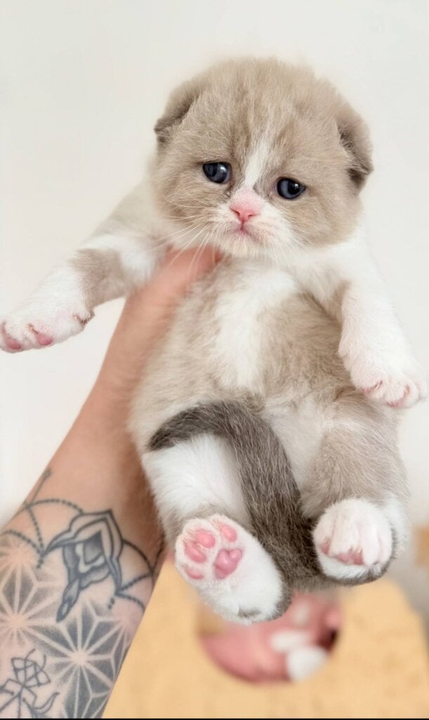 Photo 2026 02 01 17 40 36