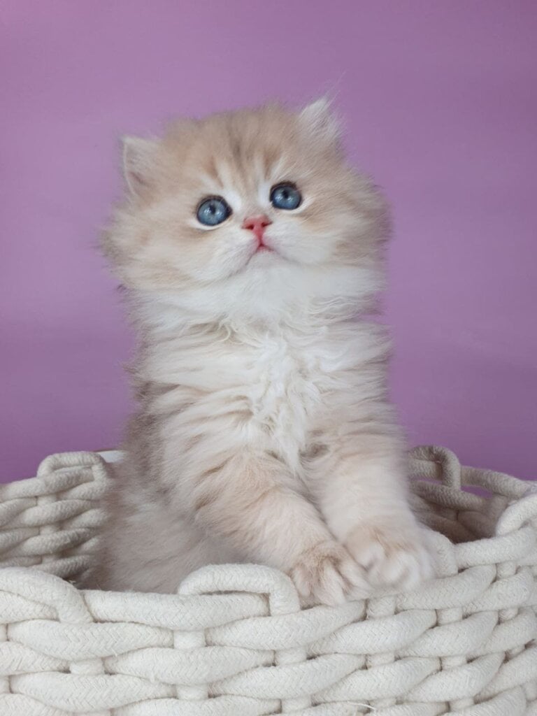 Photo 2026 02 01 21 21 50 3