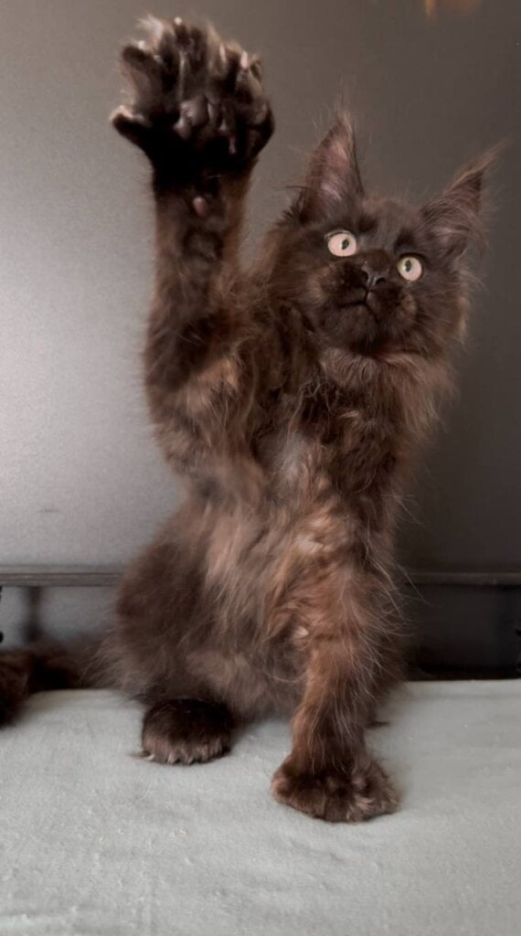 Photo 2026 02 03 11 48 02 2