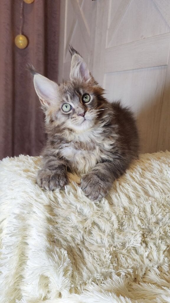 Photo 2026 02 03 16 52 42