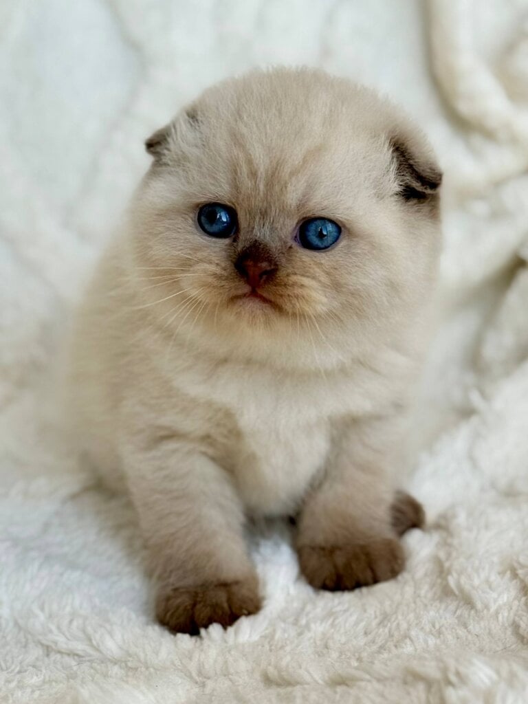 Photo 2026 02 03 17 56 08