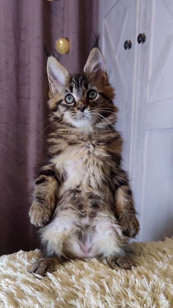 Photo 2026 02 03 18 17 19