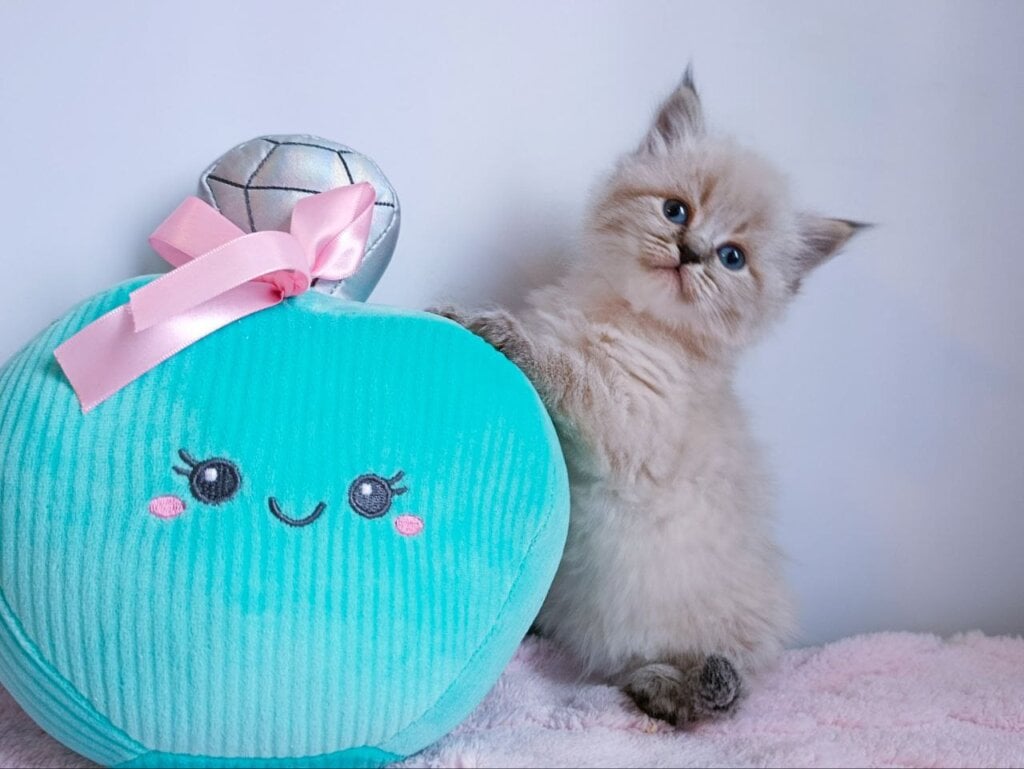 Photo 2026 02 04 10 20 29