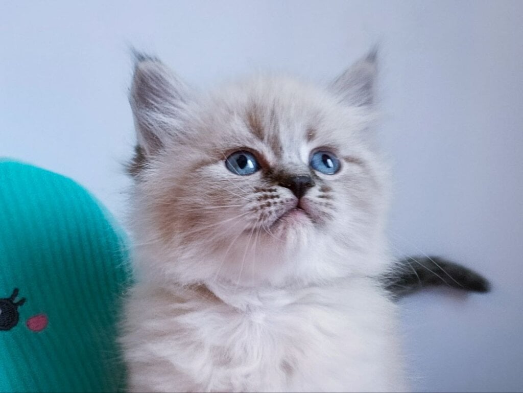 Photo 2026 02 04 10 23 59