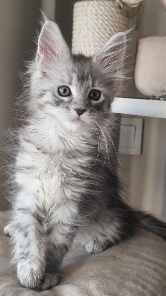 Photo 2026 02 04 14 44 02