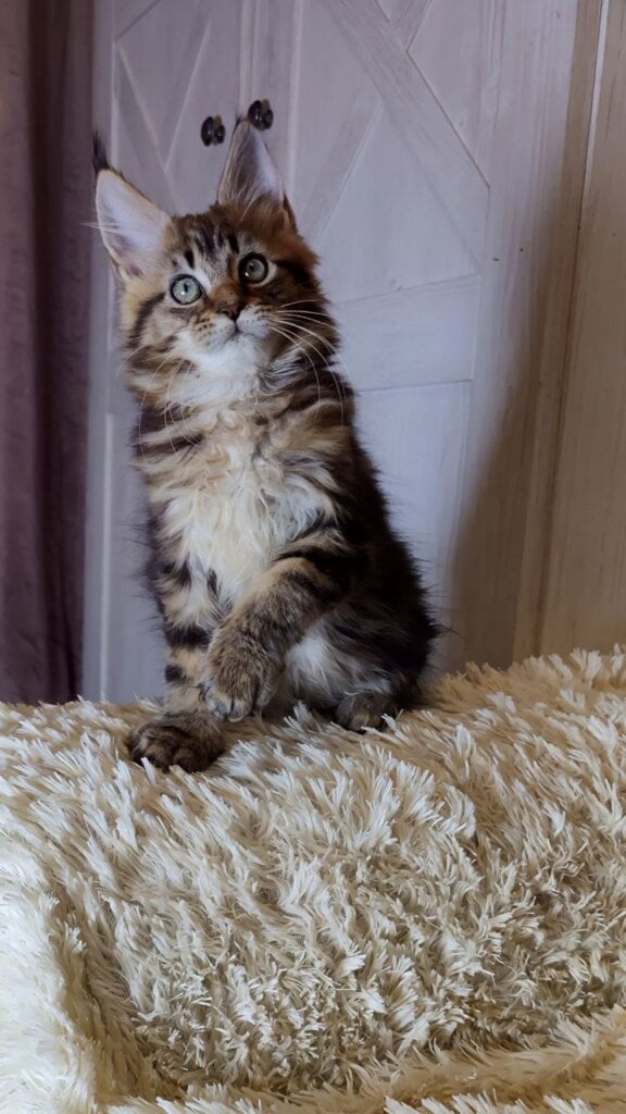 Photo 2026 02 04 17 45 20