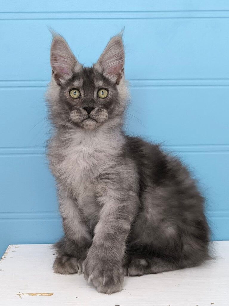 Photo 2026 02 04 17 49 47