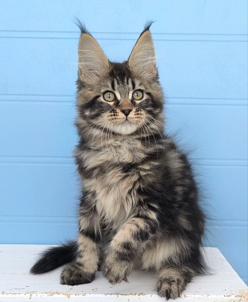 Photo 2026 02 04 17 54 02