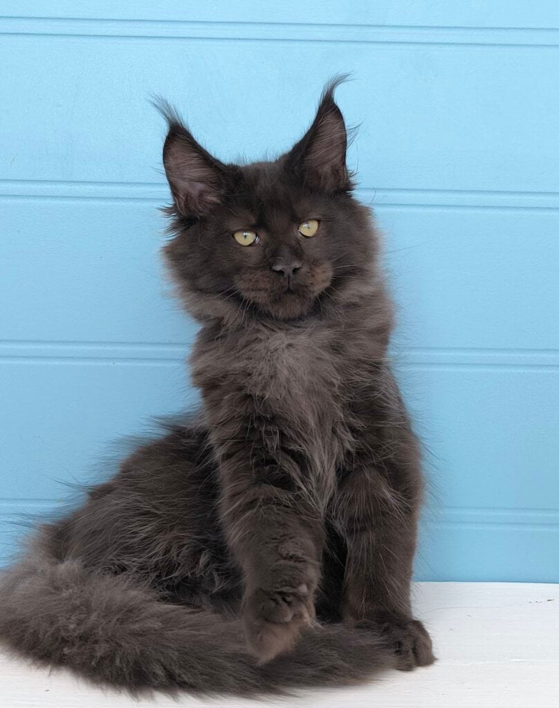 Photo 2026 02 04 17 57 46 2